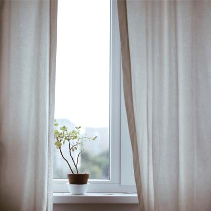 Plant in window with partly open curtains